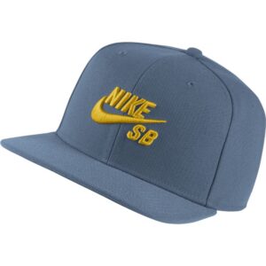Gorra nike SB